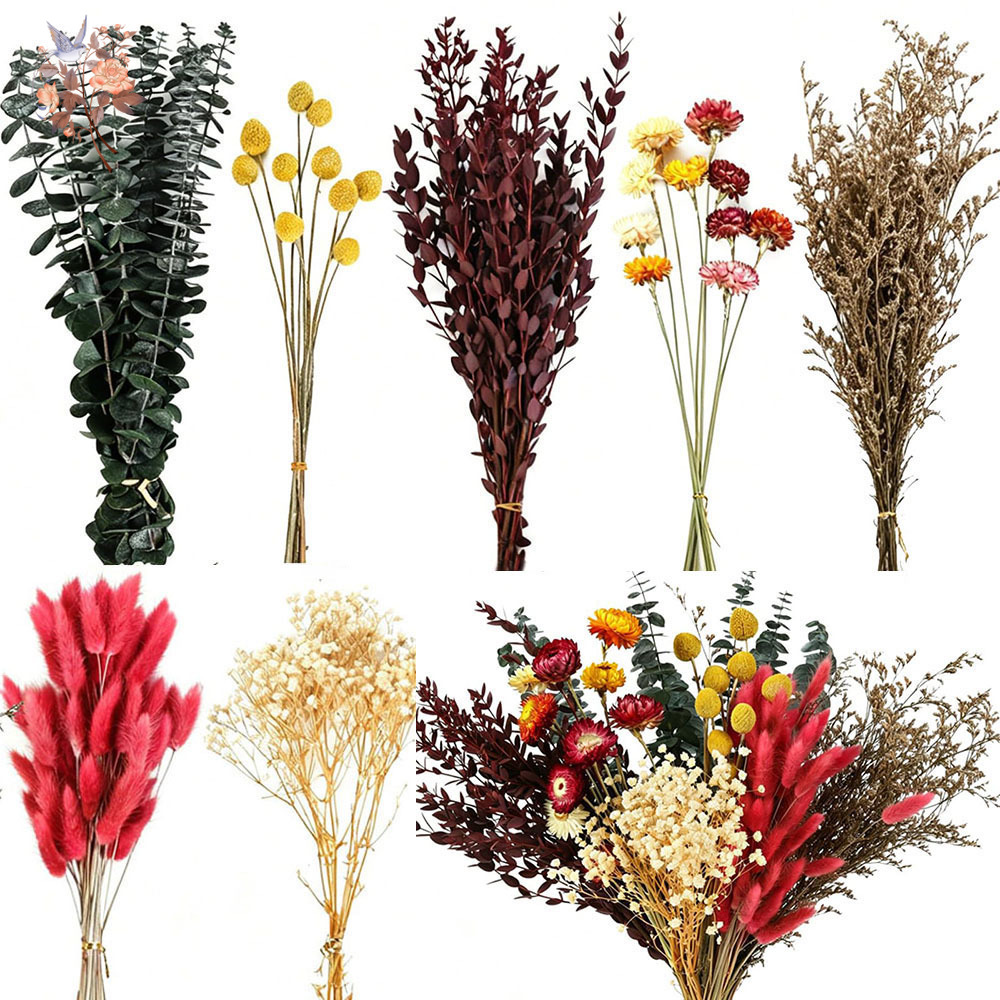 Dried Flower Bulk - Set Bunga Kering dalam Jumlah Besar,