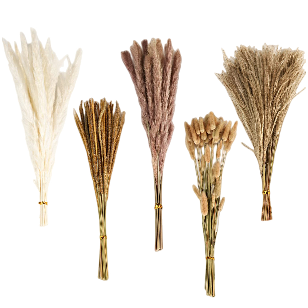 Buket Bunga Kering Campuran Vi - Dried Flower Bulk ulasan dan harga
