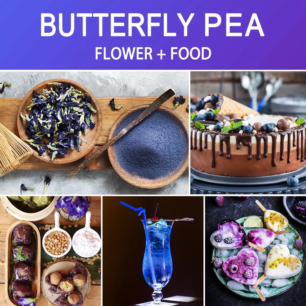 Teh Segitiga Bunga Kacang Kupu - Dried Flower Bulk ulasan dan harga